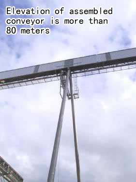 1682321659576195.jpg p10.jpg